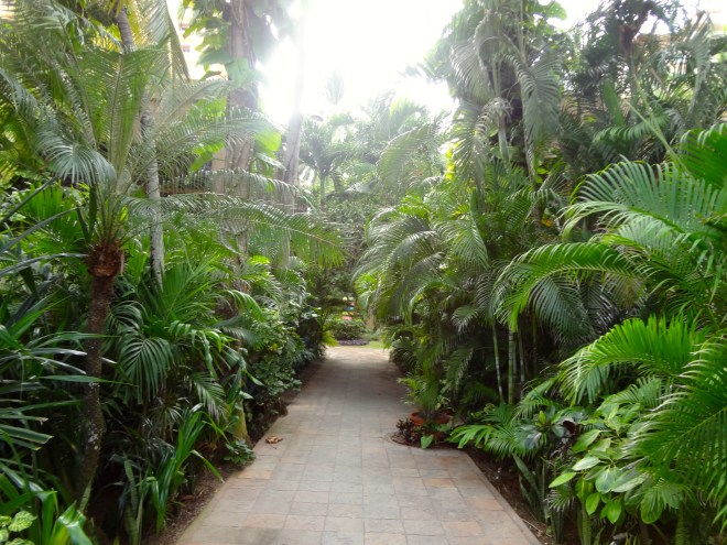 Path near entrance of resort