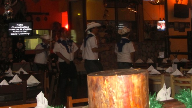 They take our orders, bring food, and entertain.