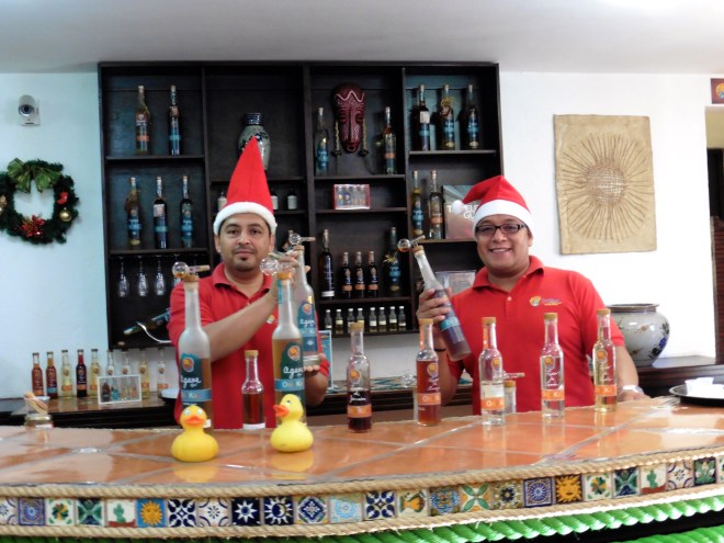 These guys are our new friends