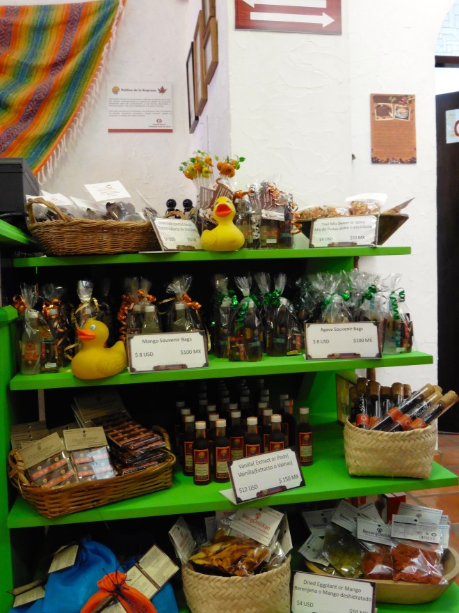 Something for every human