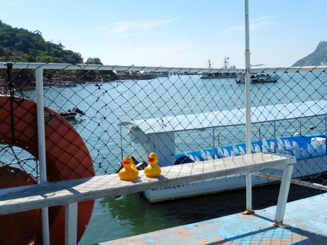 This was fun.  Hope you go on a boat soon