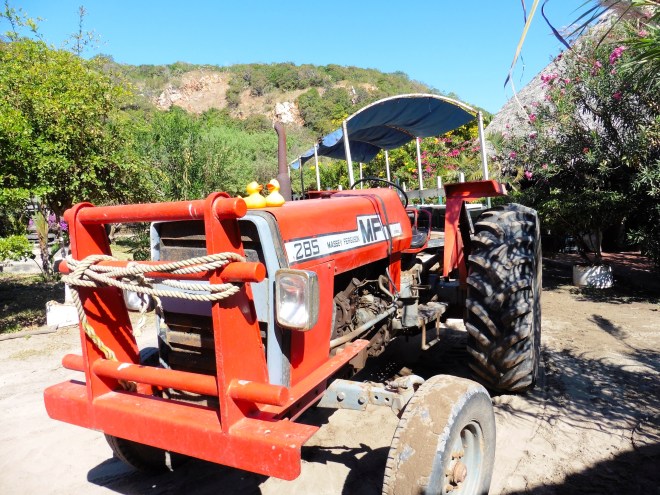Our ride from boat to the restaurant