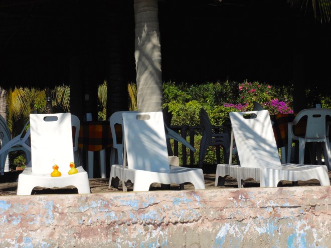 Lounging and enjoying the sun