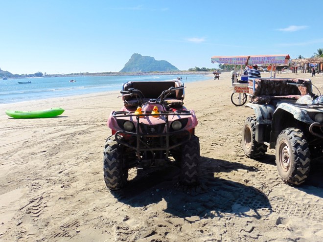 Our humans did this before we ducks joined the family. Maybe next time?