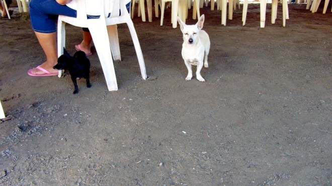So cute and waiting for food.