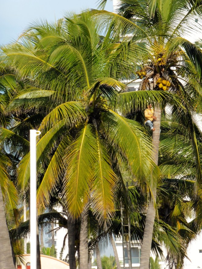 And still climbing higher