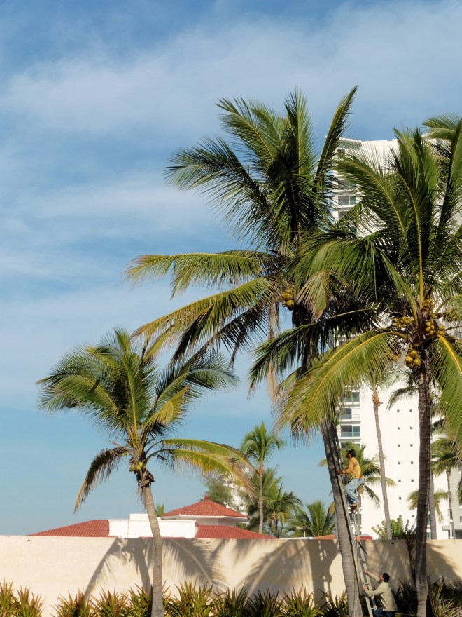 Using a ladder to begin climbing