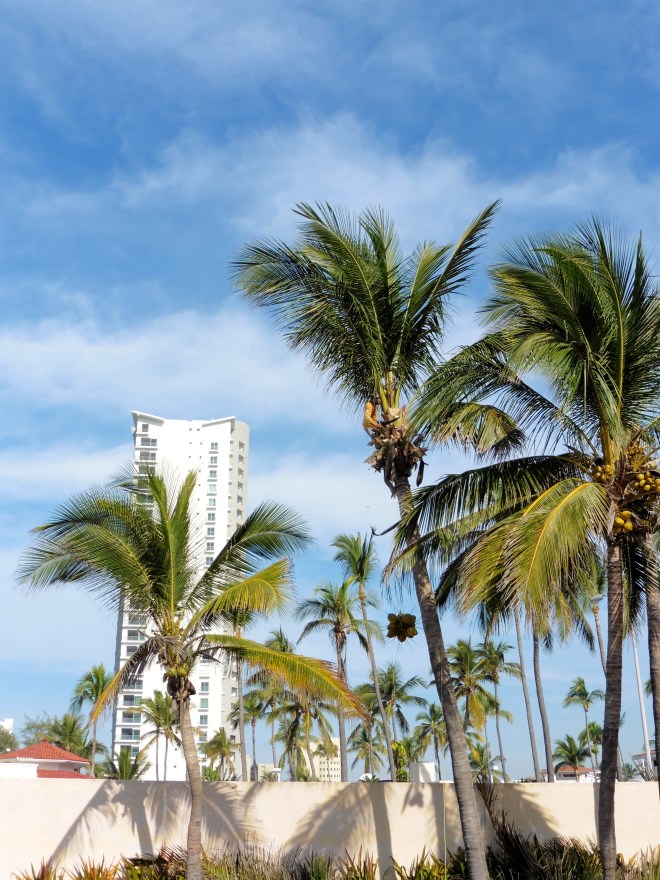 See the bunch of falling coconuts?