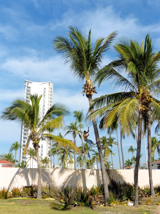 Repelling down the tree