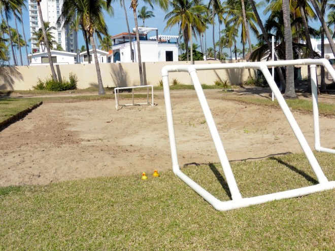 Soccer practice anyone?
