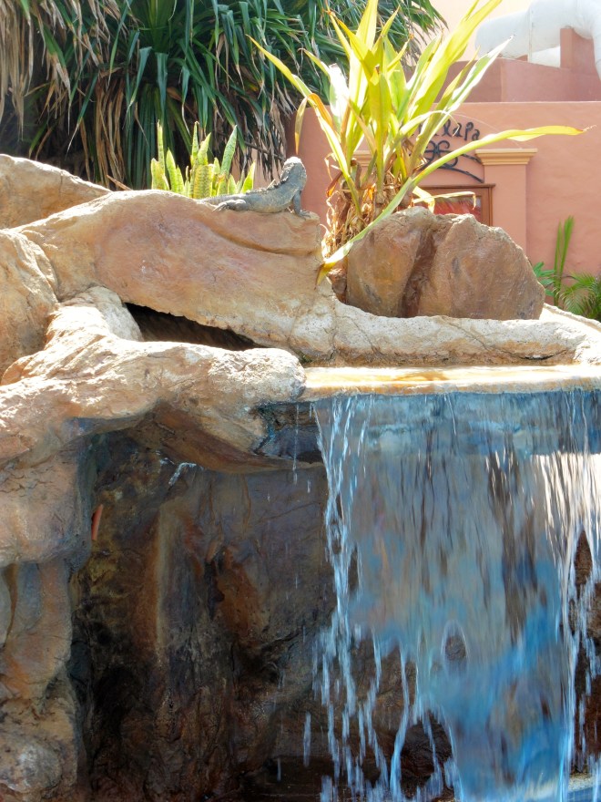 Waterfall at pool.