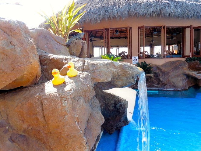 We still love this.   Can we go?