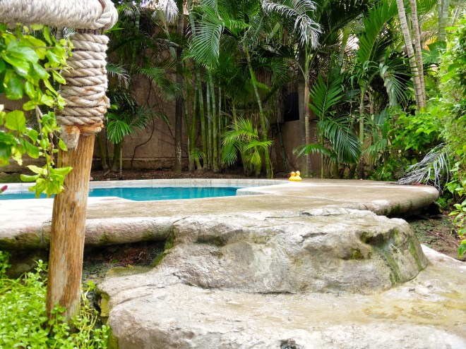 Here we are by the hot tub