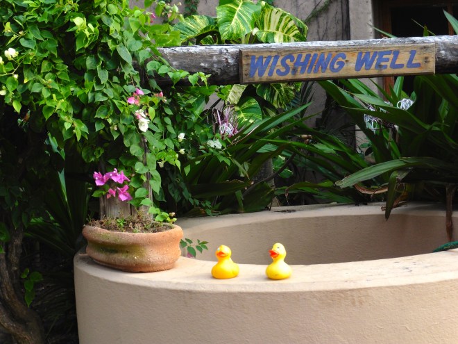 We are ready to make a wish