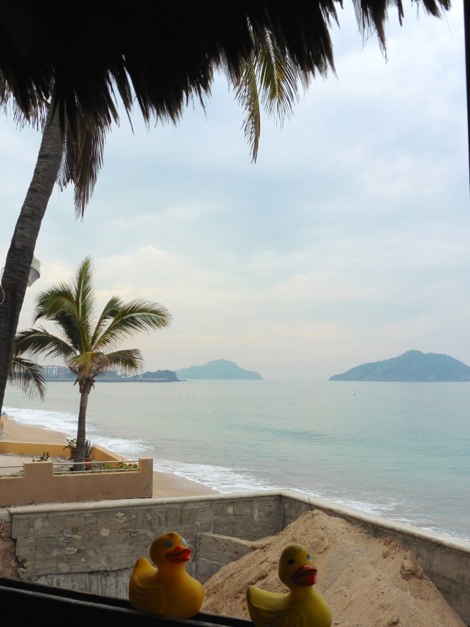 From our restaurant during breakfast.