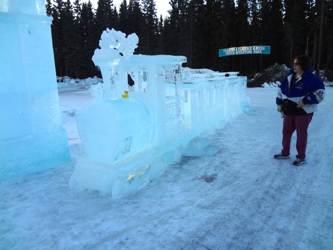 Eider Duck on ice train.   Cindy is also with Eider and his dad today