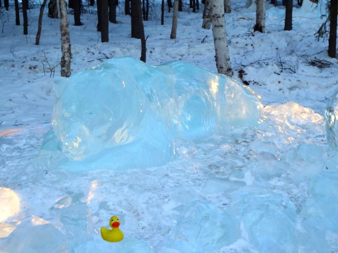 Look behind you, Eider!