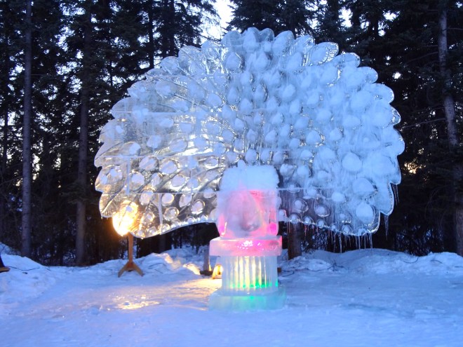 We love this ice peacock