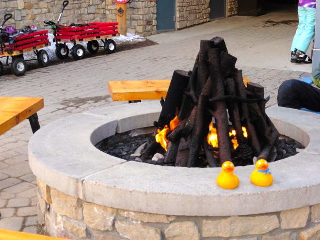 To warm your feathers, or hands