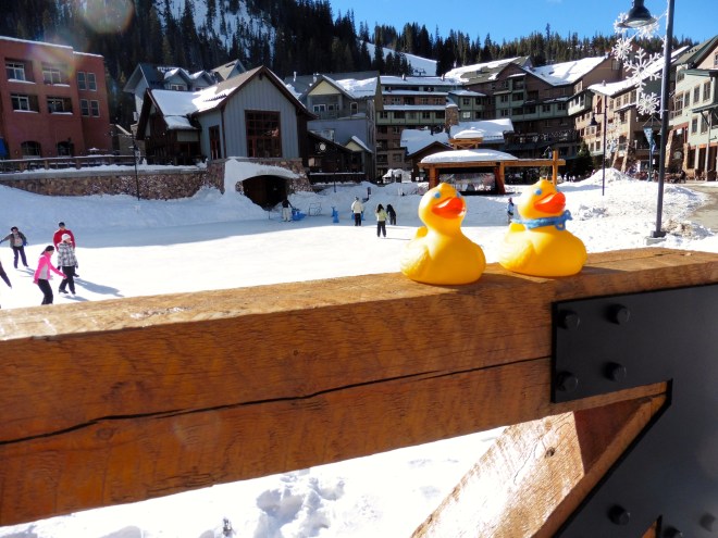 Maybe some time we can ice-skate.  