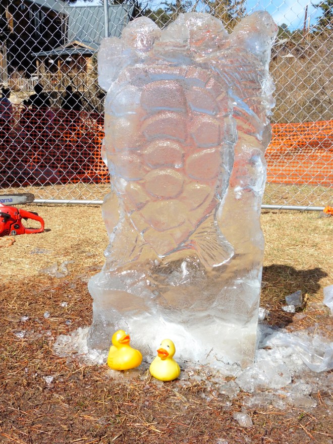 This is a pretty big ice turtle