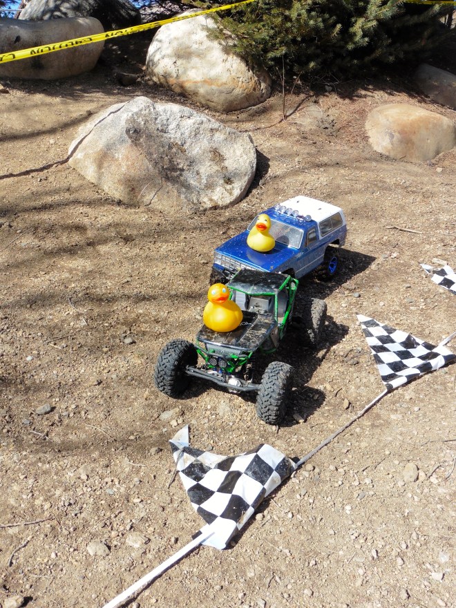 This is safer for ducks