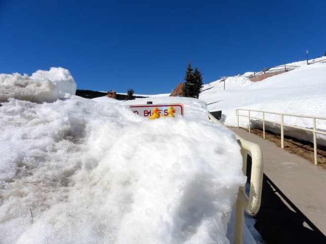 Sign is about buried in snow