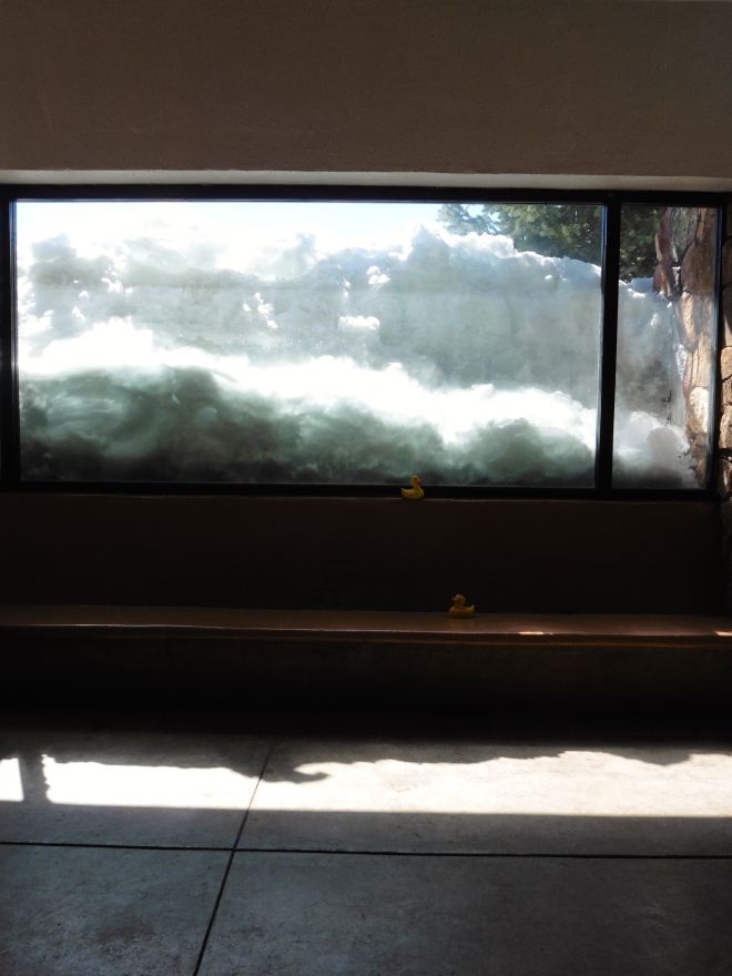 This is the view from the window