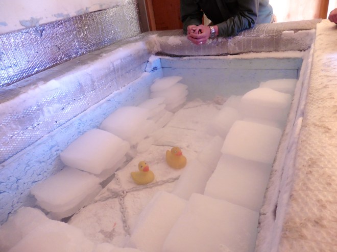 Zeb and Eider sitting with grandpa. This is cold!