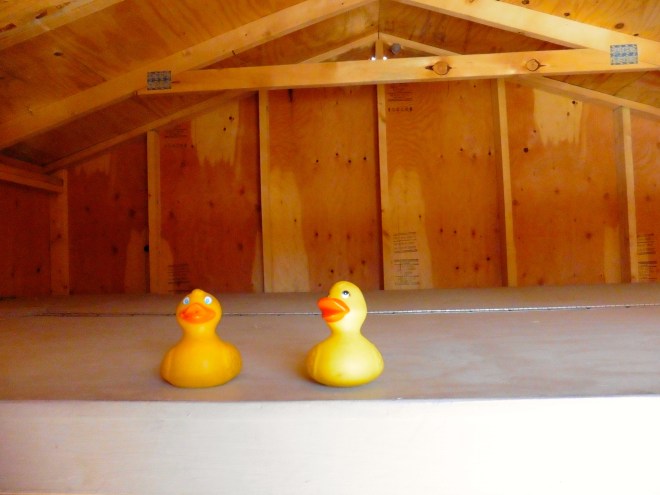 Zeb and Eider on box holding grandpa and lots of dry ice