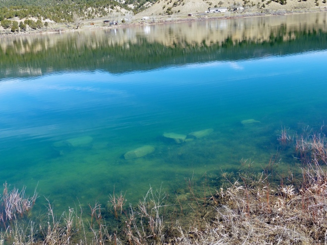 Clear Rocky Mountain water