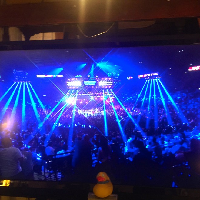 The lights accentuate the boxing ring