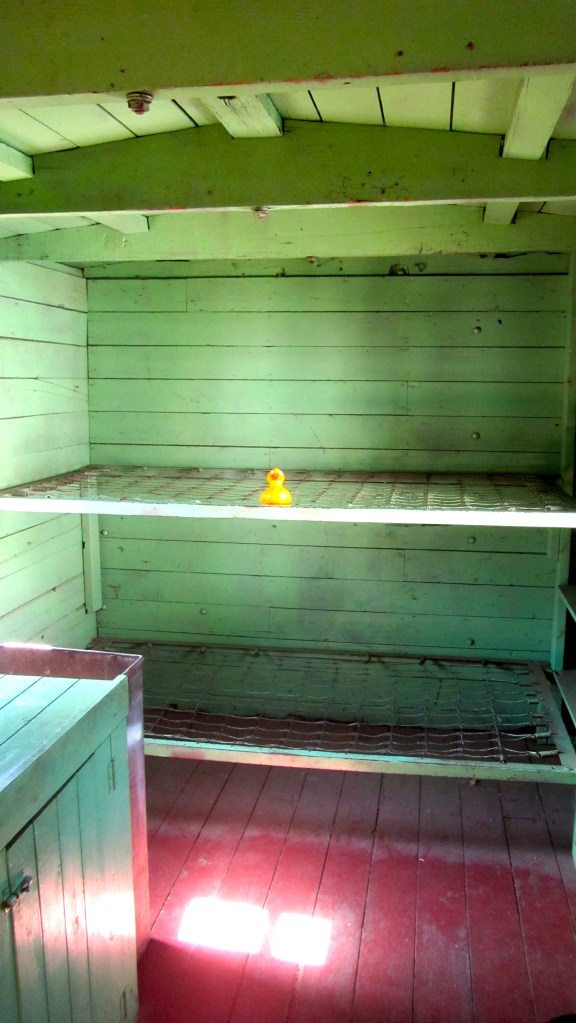 It would be fun to sleep on a moving train