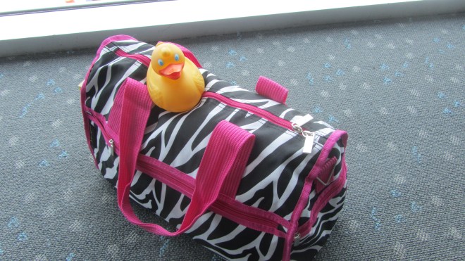 Camera and guidebooks inside