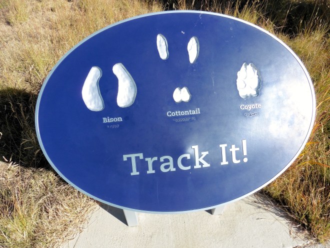 Always something to learn