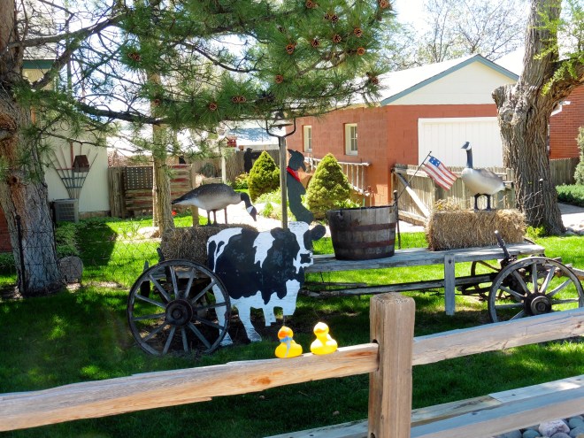 So many interesting things here