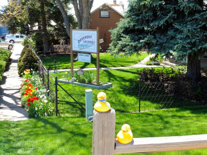 Different Drummer Antiques