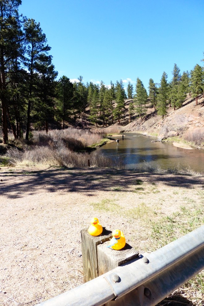 An afternoon fishing