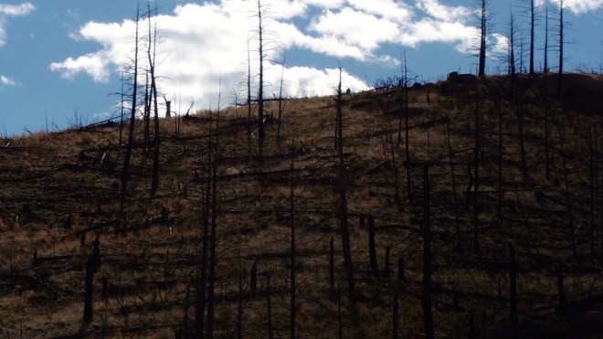 Terrible devastation