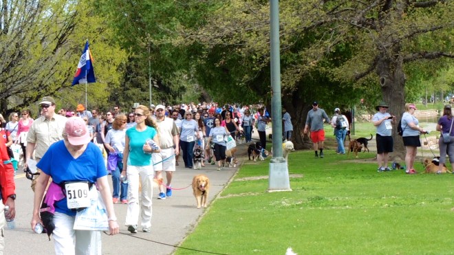 What a great turn out for the Furry Scurry