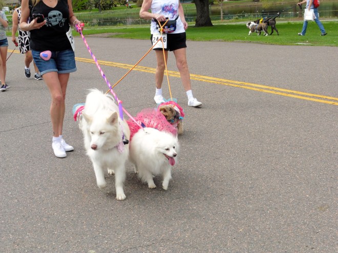 Mom really likes white dogs.