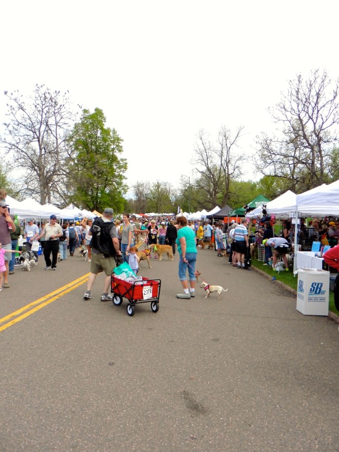 Lots of shoppers and lookers