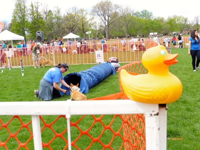 Why would I want to go inside that tunnel???