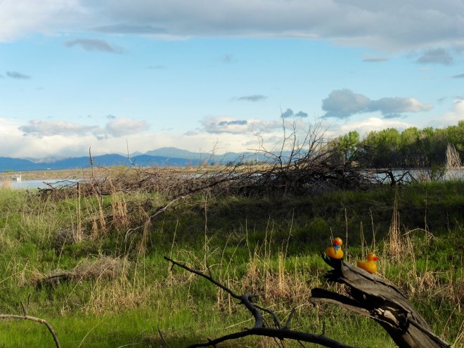 Interesting sky that morning