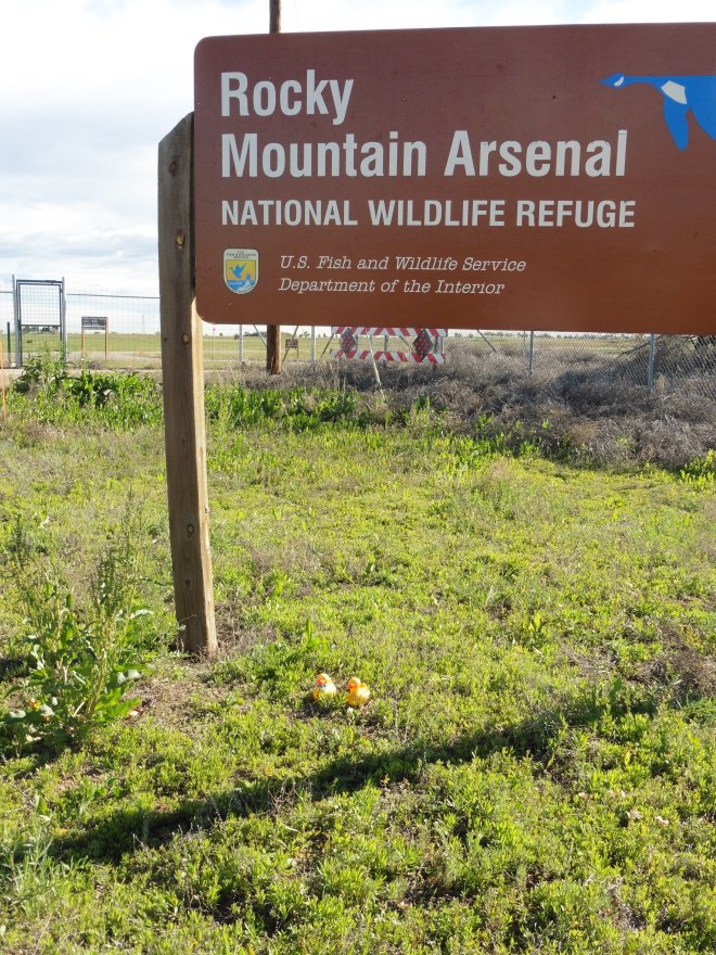 We like this wildlife refuge