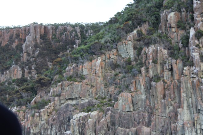 So majestic and beautiful