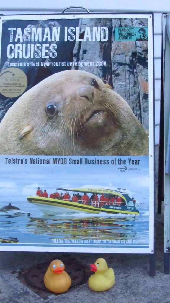 This is our cruise for today