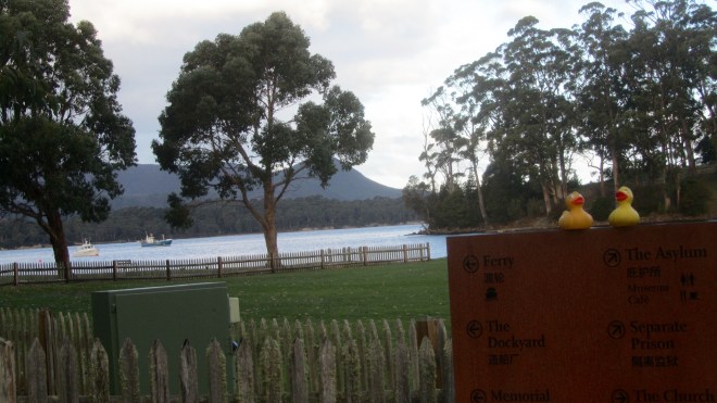 Now it is so beautiful and peaceful