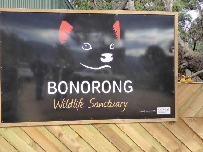 We loved Bonorong Wildlife Sanctuary in Tasmania