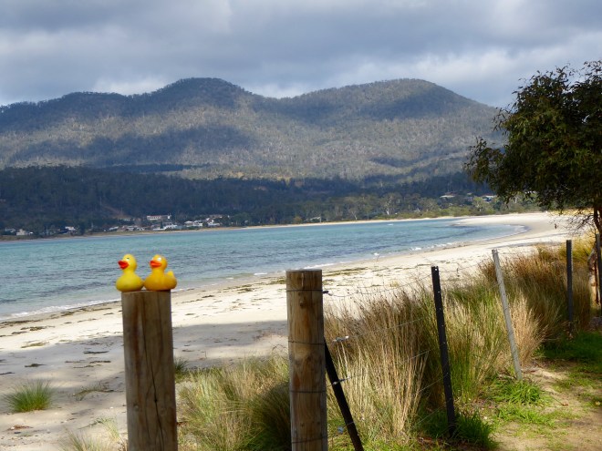 We like the beach at Orford